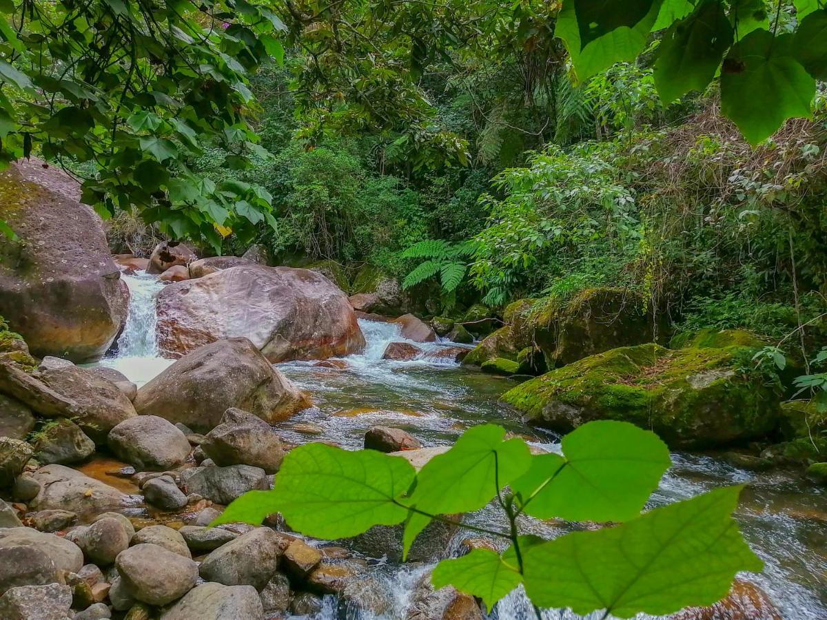 Chale 1 Alto Na Montanha, Com Lareira E Wi-Fi Apartment Visconde De Maua Bagian luar foto